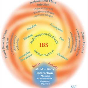 Nervous Stomach Anxiety Symptoms - IBS Now Most Reported Gastrointestinal Disorder